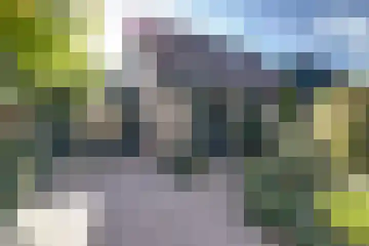 Havikshof 14 Ermelo thumbnail 5