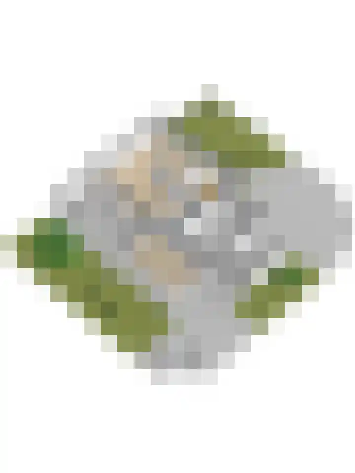 Havikshof 14 Ermelo thumbnail 57