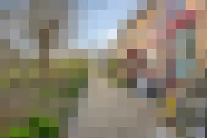 Haviksingel 33 Delft thumbnail 33