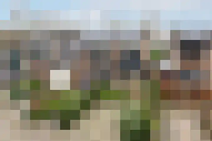 Havikskruid 10 en Maartensdijk
