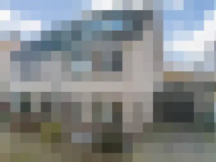 Havikskruid 19 Elsloo