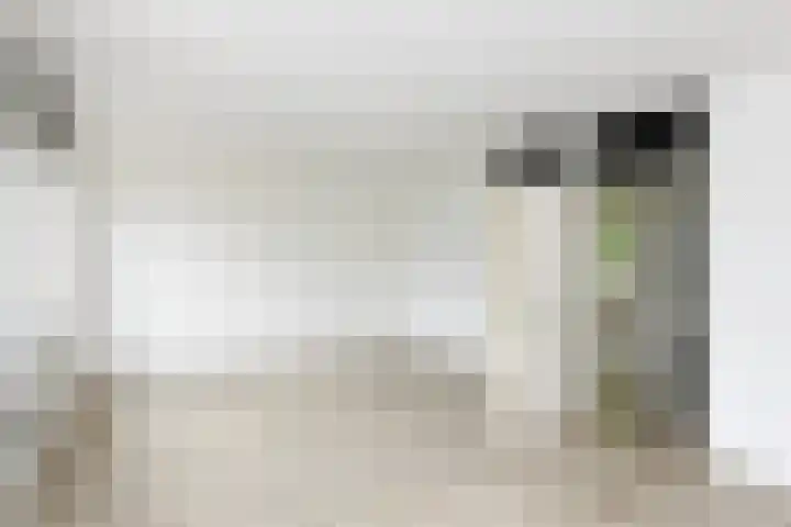 Havikskruid 85 Zeewolde thumbnail 10