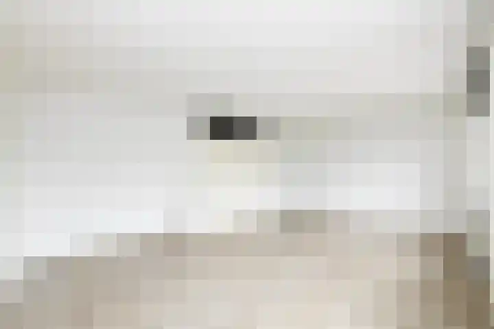 Havikskruid 85 Zeewolde thumbnail 12