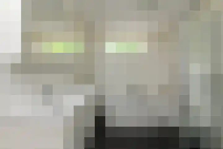 Havikskruid 85 Zeewolde thumbnail 13