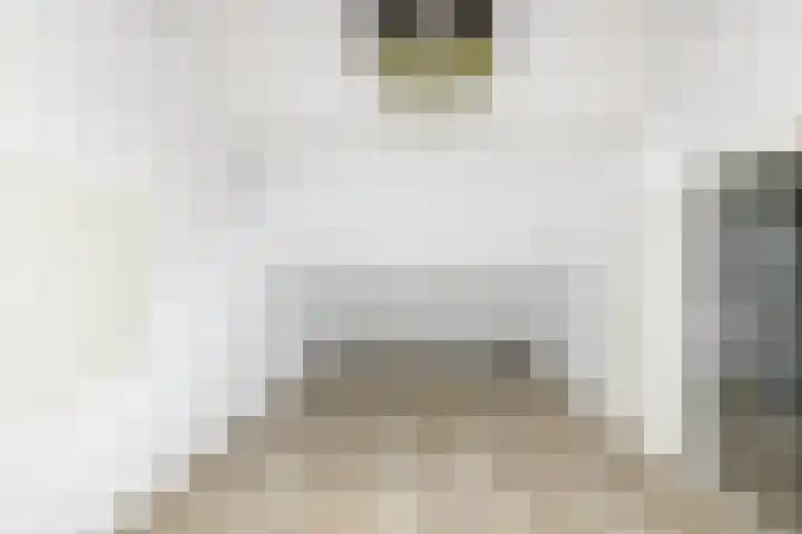 Havikskruid 85 Zeewolde thumbnail 17