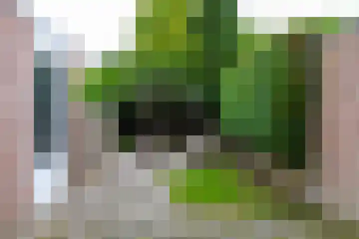 Havikskruid 85 Zeewolde thumbnail 20
