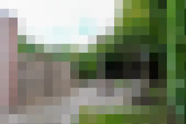 Havikskruid 85 Zeewolde thumbnail 21