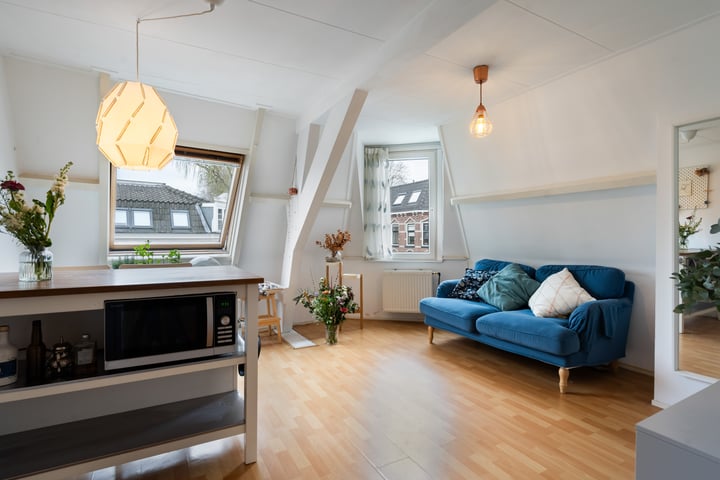 Havikstraat 31B in Utrecht foto