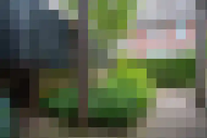 Havikstraat 76 Putten thumbnail 47
