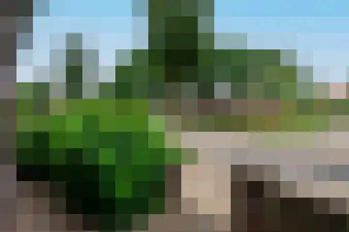 Havikstraat 76 Putten thumbnail 5