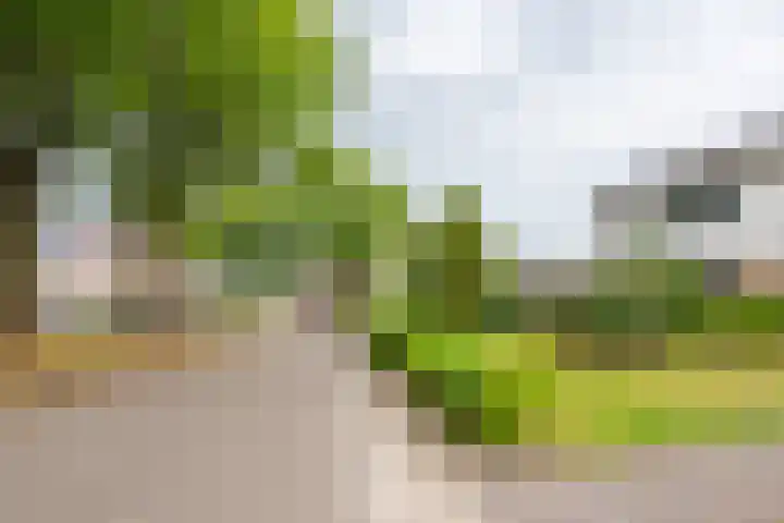 Havixhorst 20 Sleen thumbnail 10