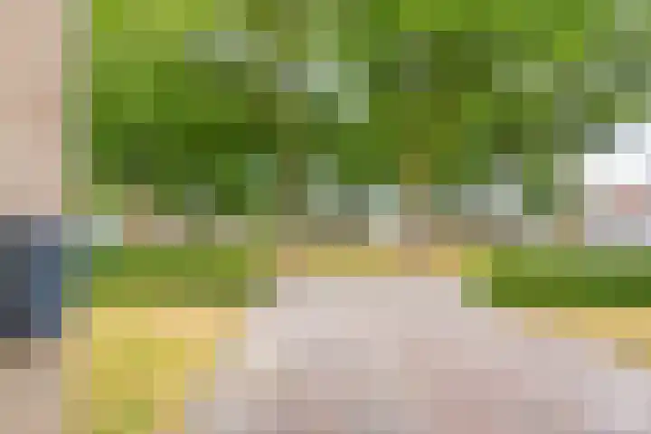 Havixhorst 20 Sleen thumbnail 12