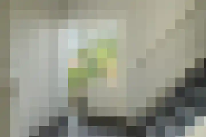 Havixhorst 20 Sleen thumbnail 13