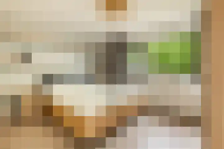 Havixhorst 20 Sleen thumbnail 4
