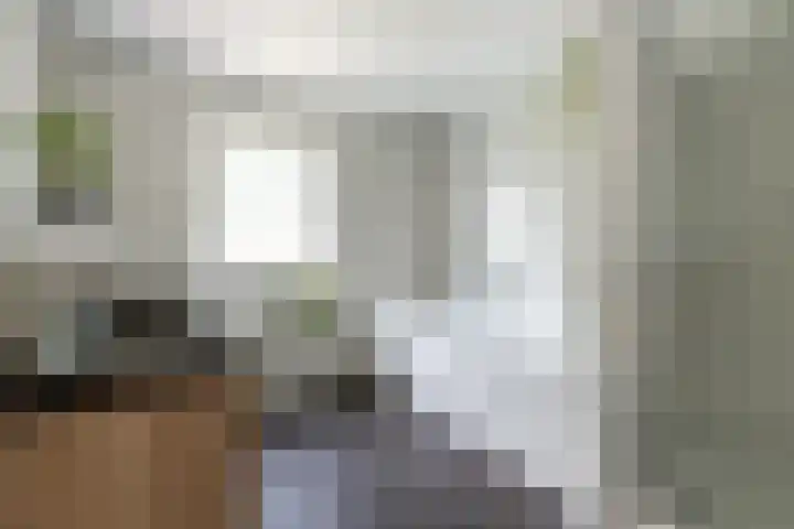Havixhorst 20 Sleen thumbnail 5