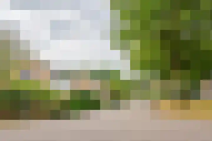 Havixhorst 20 Sleen thumbnail 9