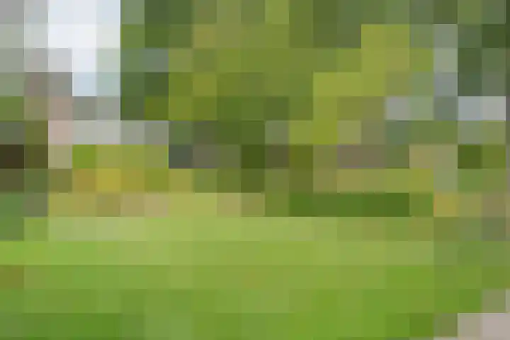 Havixhorst 8 Emmen thumbnail 46