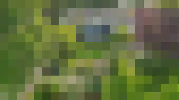 Havixhorst 8 Emmen thumbnail 51