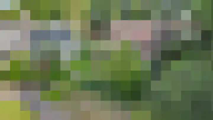 Havixhorst 8 Emmen thumbnail 60