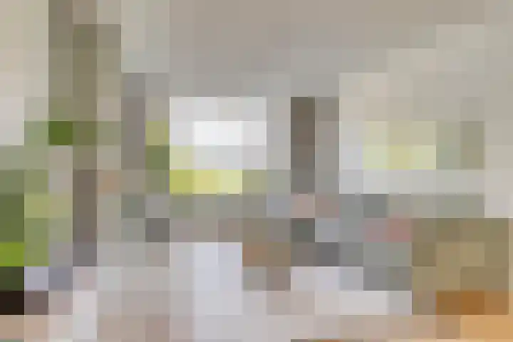 Haydnlaan 101 Groningen thumbnail 15
