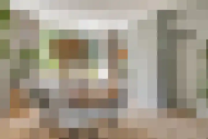 Haydnlaan 101 Groningen thumbnail 19