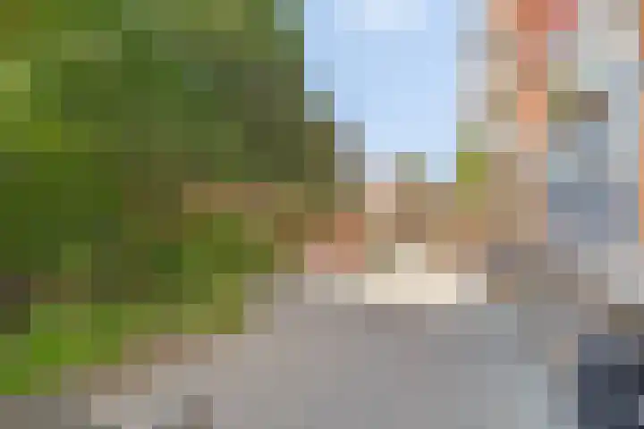 Haydnlaan 101 Groningen thumbnail 29