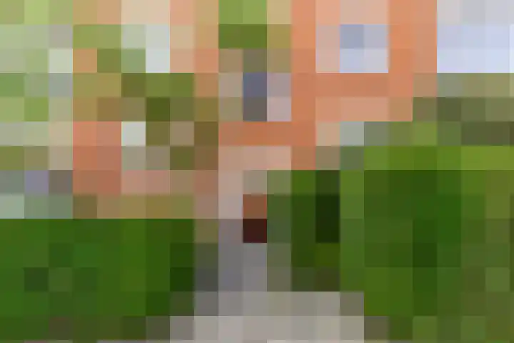 Haydnlaan 101 Groningen thumbnail 30