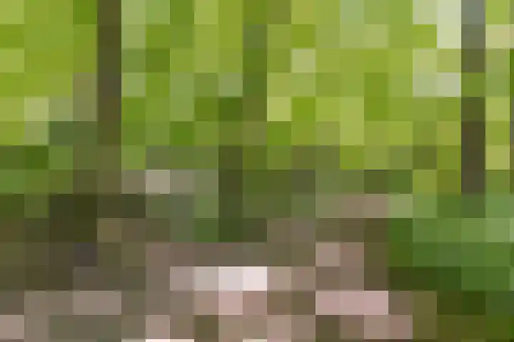 Haydnlaan 101 Groningen thumbnail 36