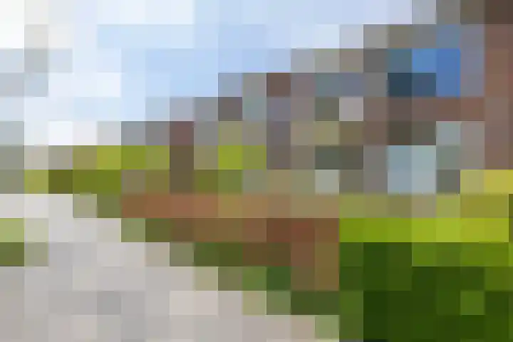Haydnlaan 21 Groningen thumbnail 10