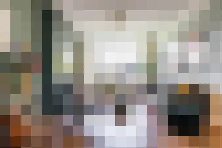 Haydnlaan 21 Groningen thumbnail 18