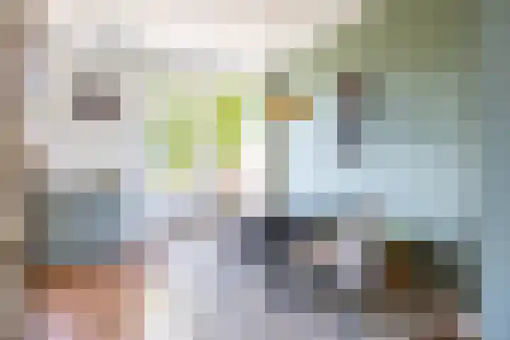 Haydnlaan 21 Groningen thumbnail 24