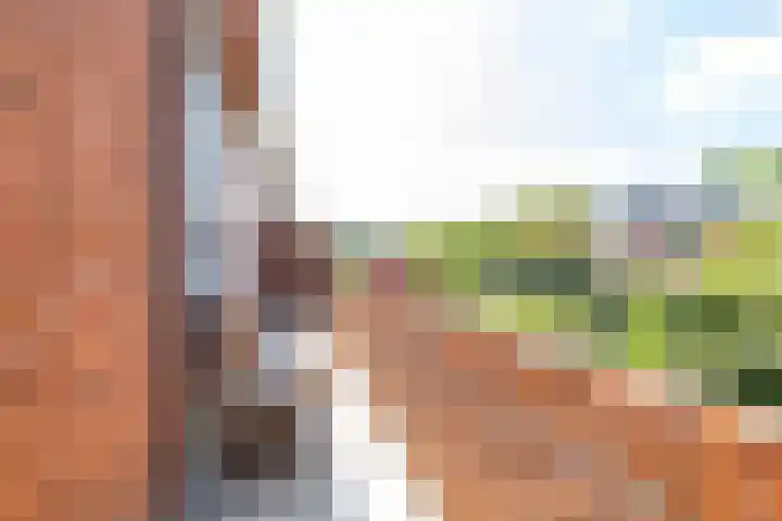 Haydnlaan 21 Groningen thumbnail 31