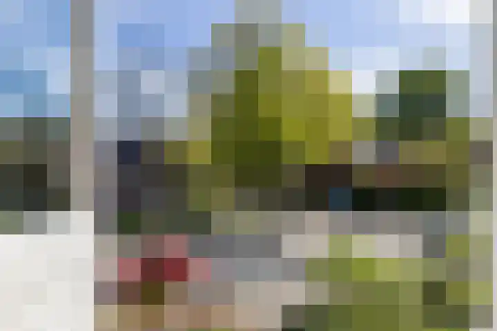 Haydnlaan 21 Groningen thumbnail 48