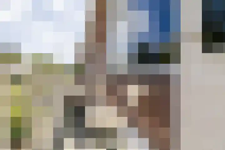 Haydnlaan 21 Groningen thumbnail 49