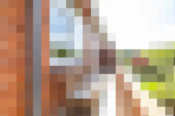 Haydnlaan 21 Groningen thumbnail 5
