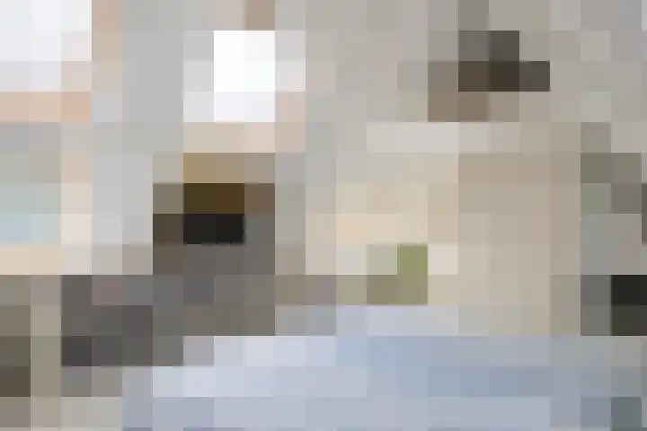 Haydnlaan 40 Bilthoven thumbnail 44