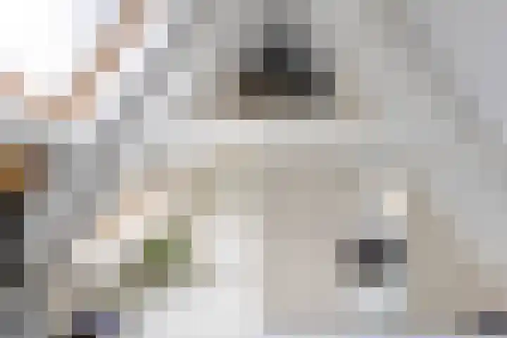 Haydnlaan 40 Bilthoven thumbnail 45