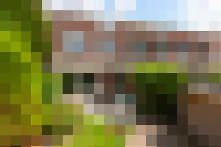 Haydnlaan 7 Maassluis thumbnail 19