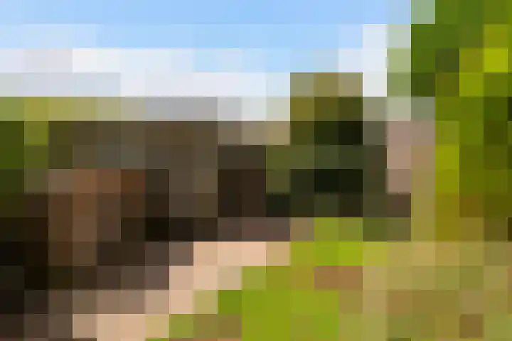 Haydnlaan 7 Maassluis thumbnail 20