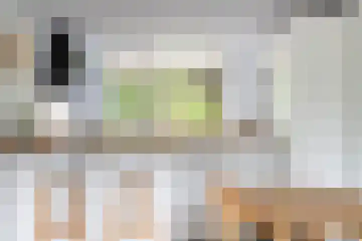 Haydnlaan 7 Maassluis thumbnail 23