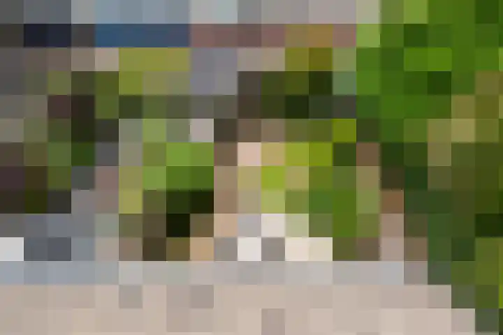 Haydnlaan 7 Maassluis thumbnail 43