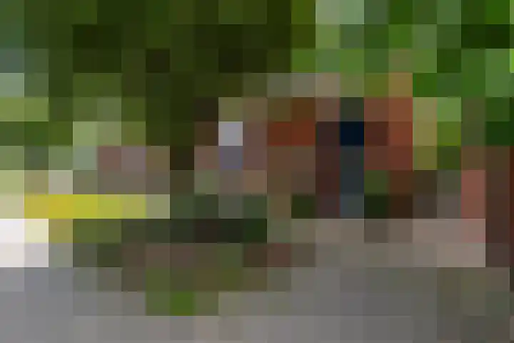Haydnlaan 7 Maassluis thumbnail 5