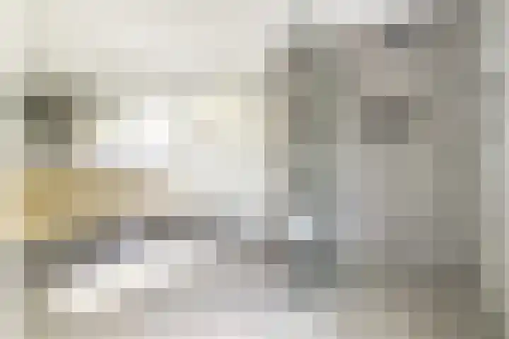 Haydnlaan 8 Breda thumbnail 24