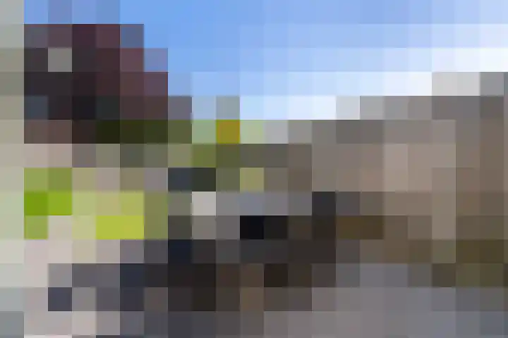 Haydnlaan 8 Breda thumbnail 25
