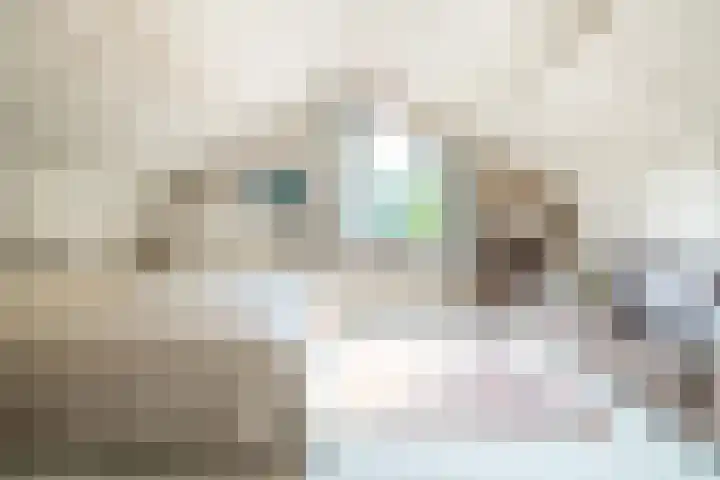 Haydnlaan 8 Breda thumbnail 30