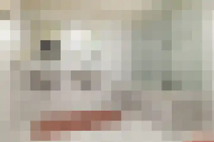 Haydnlaan 8 Breda thumbnail 32