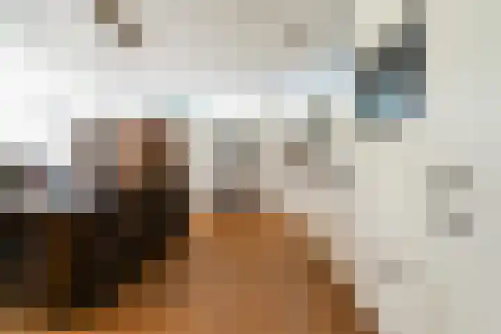 Haydnlaan 8 Breda thumbnail 38