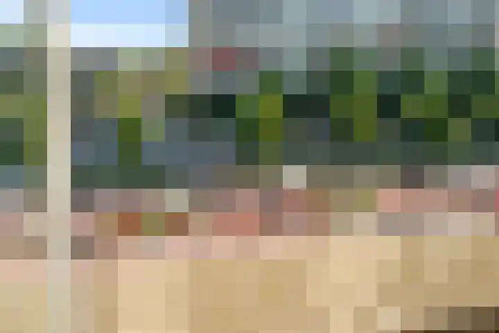 Haydnlaan 8 Breda thumbnail 39