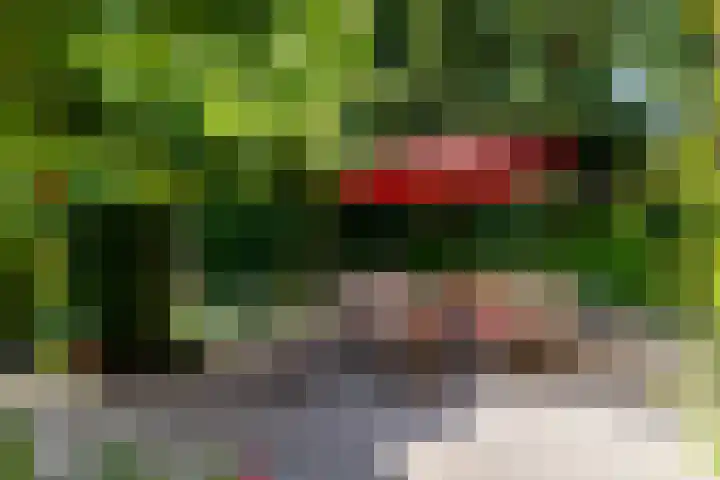 Haydnlaan 8 Breda thumbnail 41