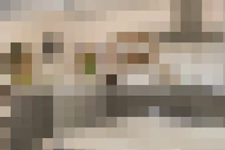 Haydnlaan 8 Breda thumbnail 42